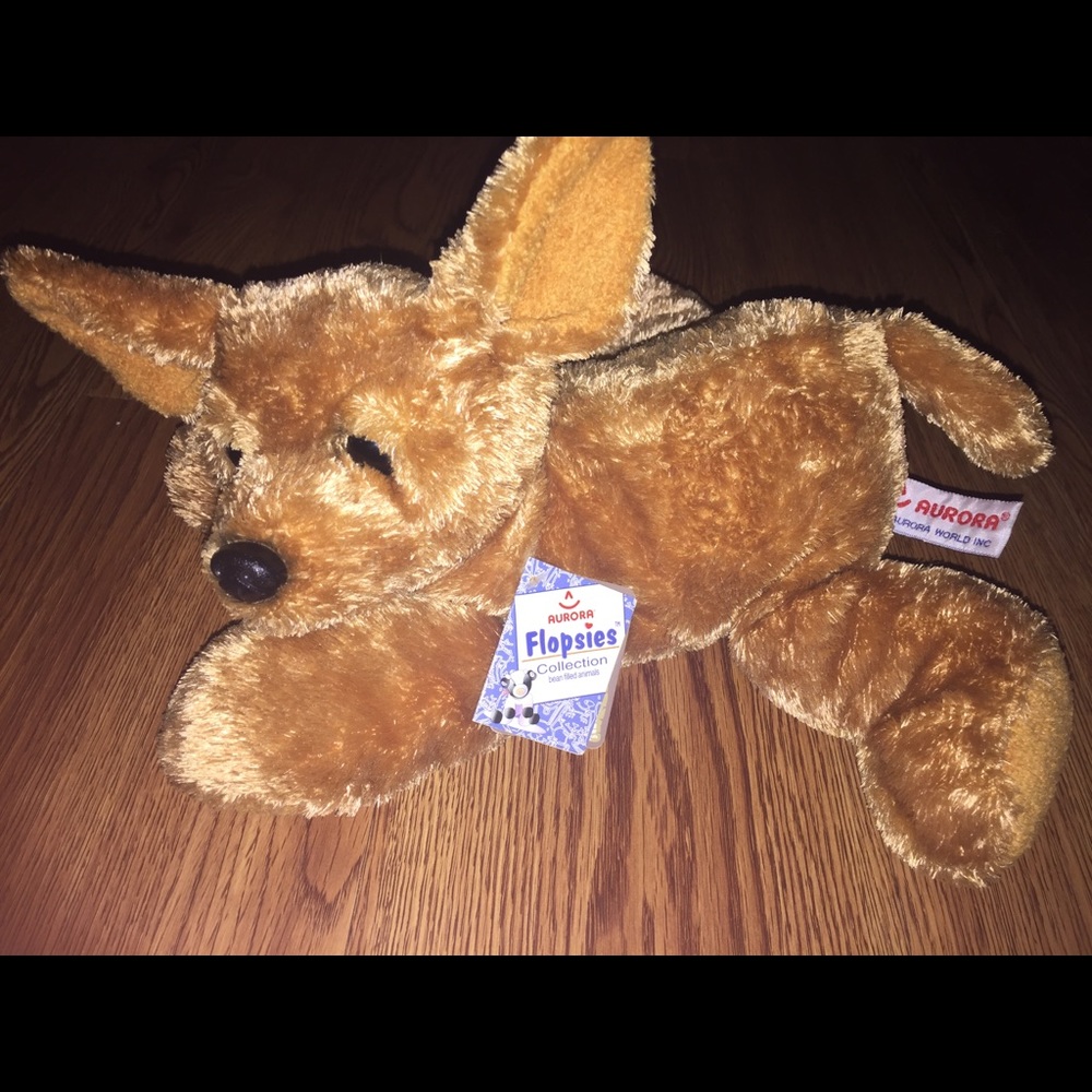 Floppies PUP